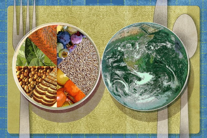Chúng ta đang “ăn” Trái đất?